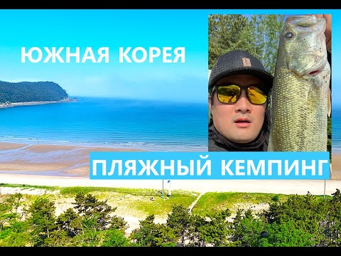 Видео: Лучший пляж Южной Кореи для кемпинга.