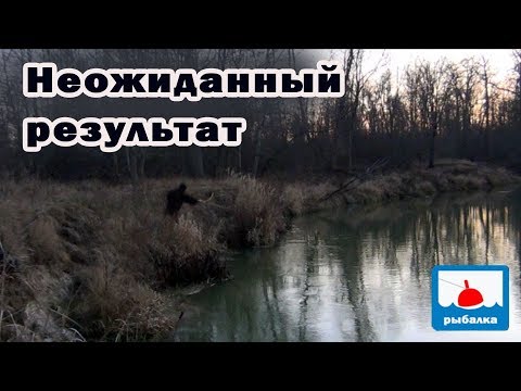 Видео: Забросил закидушки на налима и что поймалось