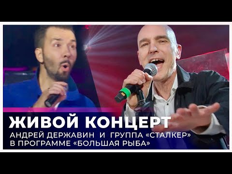 Видео: Андрей Державин - живой концерт в программе «Большая Рыба», ведущий Денис Клявер