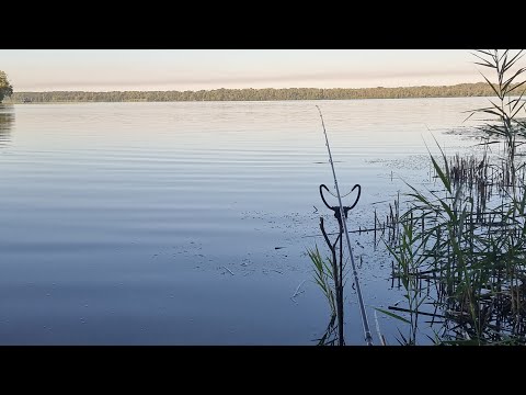 Видео: Рыбалка в Запорожье. Домаха. Мест нет, а рыба, не известно.