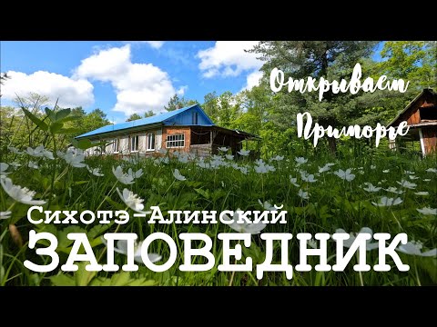 Видео: Открываем Приморье. Сихотэ-Алинский заповедник. День 2. Маршруты «Тропа тигров» и «Тропа Арсеньева»