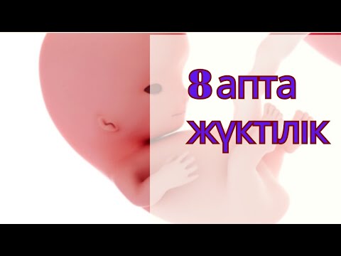 Видео: 8 АПТАЛЫҚ ЖҮКТІЛІК:ҚАНДАЙ ӨЗГЕРІСТЕР БОЛАДЫ?!