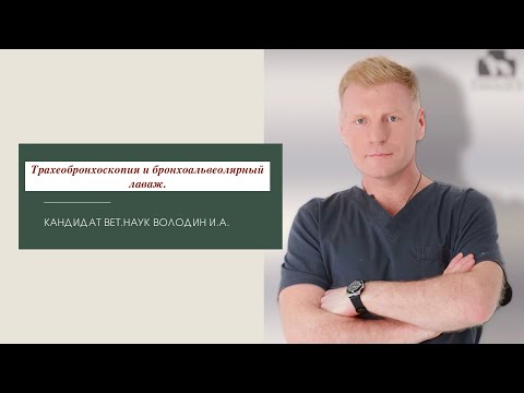 Видео: Трахеобронхоскопия и бронхоальвеолярный лаваж.