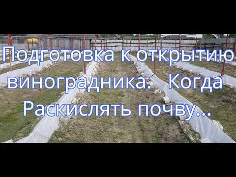 Видео: Подготовка к открытию виноградника Когда раскислять почву