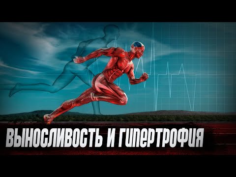 Видео: Гипертрофия и выносливость. Влияние разных типов волокон на работоспособность атлета.