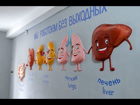 Видео: Интерактивный музей здоровья