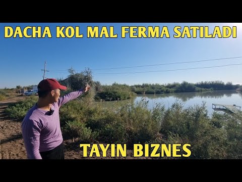Видео: КӨЛ ДАЧА МАЛ ФЕРМА САТЫЛАДЫ.