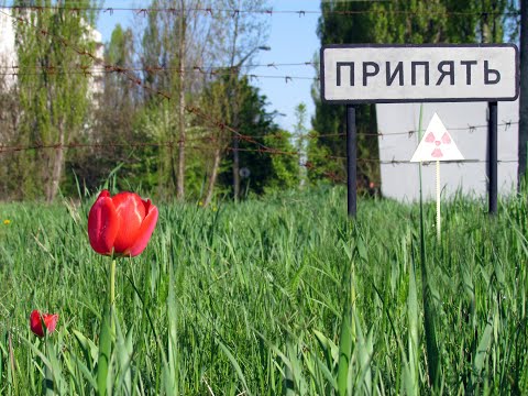 Видео: Припять Чернобыль 1996 год Pripyat Chernobyl Year 1996