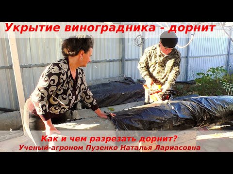 Видео: Укрытие виноградника при помощи дорнита. Как и  чем разрезать дорнит. (Пузенко Наталья Лариасовна)