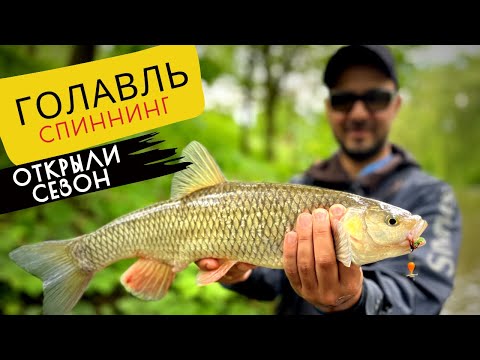 Видео: ГОЛАВЛЬ НА МИКРОРЕЧКЕ НА ВОБЛЕРЫ И БЛЕСНЫ ✅ ПРИМАНКИ НА ГОЛАВЛЯ