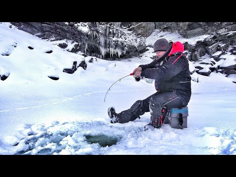 Видео: РЫБАЛКА НА КРАЮ ЗЕМЛИ! АРКТИКА, ПЕРВЫЙ ЛЁД!