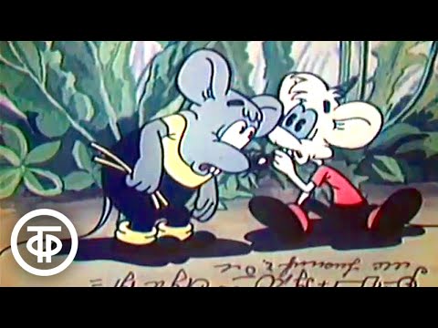 Видео: Спокойной ночи, малыши! Выставка кошек. Ведущая - Татьяна Судец (1991)