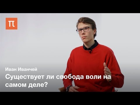 Видео: Изучение сознания в когнитивной психологии — Иван Иванчей