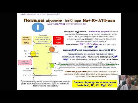 Видео: Фармакология диуретиков (профессор Мамчур В.И.)