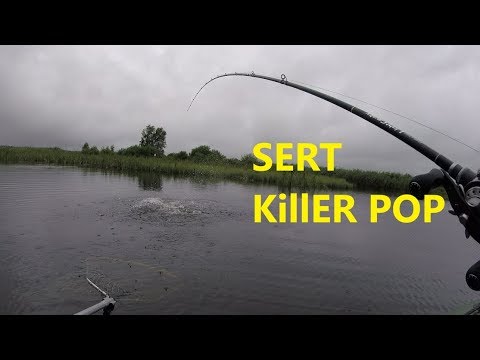 Видео: Здесь Рыбы НЕТ! :-) SERT KILLER POP