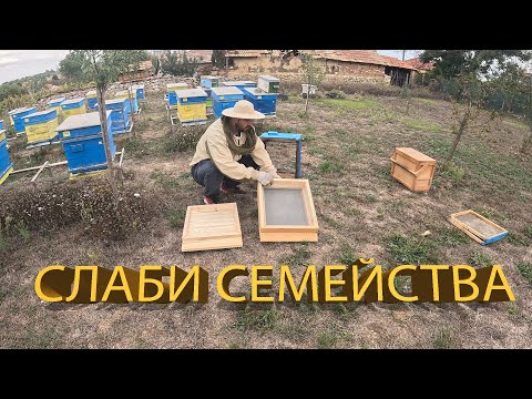 Видео: Подготвям слабите семейства за обединяване