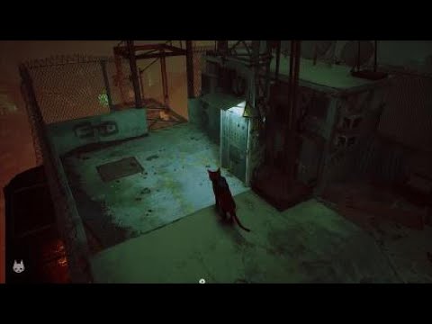 Видео: Первая часть stray