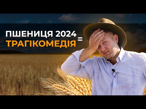 Видео: ПОПЕРЕДНИКИ ПШЕНИЦІ 2024. ВІД ГІРШИХ ДО КРАЩИХ