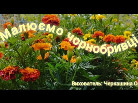 Видео: Малюємо чорнобривці 