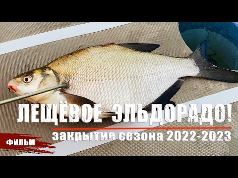 Видео: ЛЕЩЁВОЕ ЭЛЬДОРАДО! УСПЕШНОЕ ЗАКРЫТИЕ ЗИМНЕГО СЕЗОНА НА ВОРОНЕЖСКОМ ВОДОХРАНИЛИЩЕ 2022-2023.