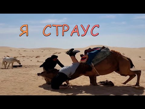 Видео: ПРИКОЛЫ /14 МИНУТ ХОРОШЕГО НАСТРОЕНИЯ  /BEST COUB #Приколы2021#Приколы 2022