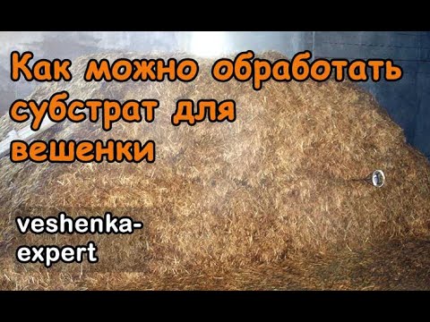 Видео: Как подготовить субстрат для вешенки. Технологии обработки субстрата