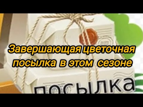 Видео: Завершающая посылка в этом сезоне