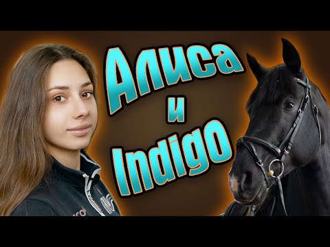 Видео: Алиса Сидоран и ее конь INDIGO SOLLENBURG