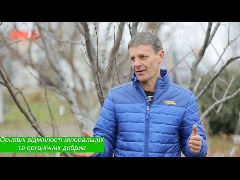 Видео: Органічні й мінеральні добрива — як знайти баланс у саду