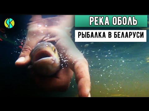 Видео: СПЛАВ по малой реке - в Полоцк по Оболю  | ЯЗЬ, ЖЕРЕХ, ГОЛАВЛЬ, окунь щука на спиннинг УЛЬТРАЛАЙТ