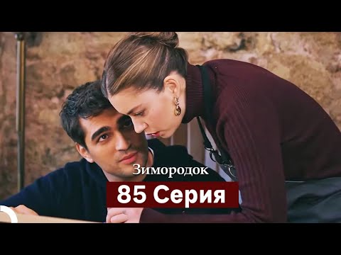 Видео: Зимородок 85 Cерия (Русский дубляж)