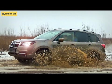 Видео: Subaru Forester месит грязь и прет везде!