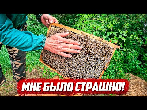 Видео: Обустраиваем заброшенный дом! Новые проблемы | Орловская обл, Колпнянский р/н д.Удеревка