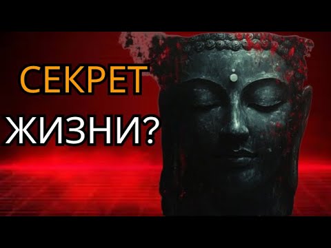 Видео: В чём СМЫСЛ ЖИЗНИ? Ответ Будды