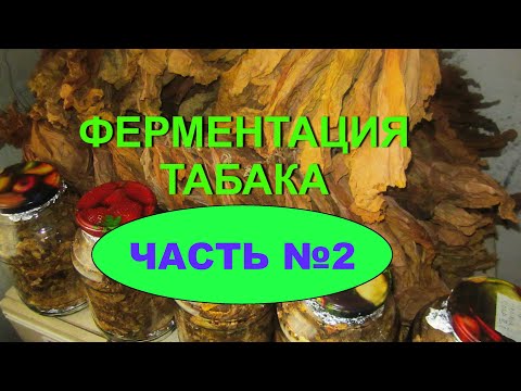 Видео: ФЕРМЕНТАЦИЯ ТАБАКА  ЧАСТЬ № 2