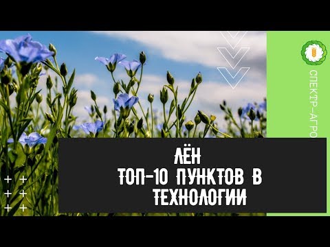 Видео: Лён. ТОП-10 пунктов в технологии выращивания льна