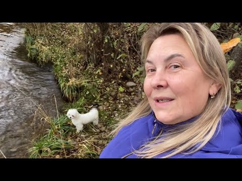 Видео: КАЛИТКУ ОТКРЫЛ И ТЫ НА РЕКЕ 🌊 #vlog #иринаимолли #мальтеземолли 