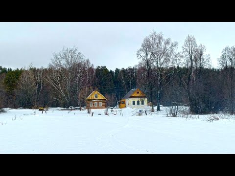 Видео: Живу и работаю в опустевшей деревне. Мастерская стала ближе к мечте. Улучшаю быт