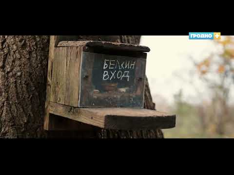 Видео: Румлево. Свидание с городом. Выпуск 56