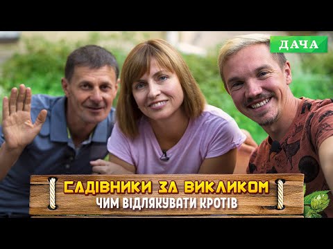 Видео: Кроти на ділянці. Як відігнати шкідників? | Порятунок черешні |Як