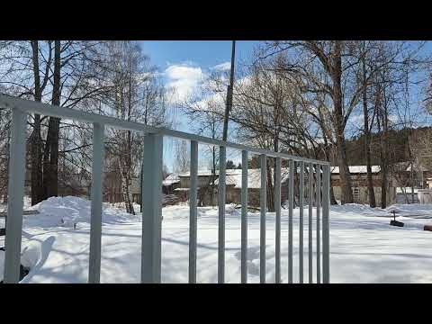 Видео: Как умер Cat Simulator Live?