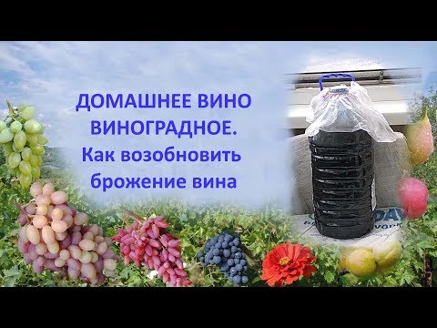 Видео: @Домашнее виноградное вино  Как возобновить брожение вина