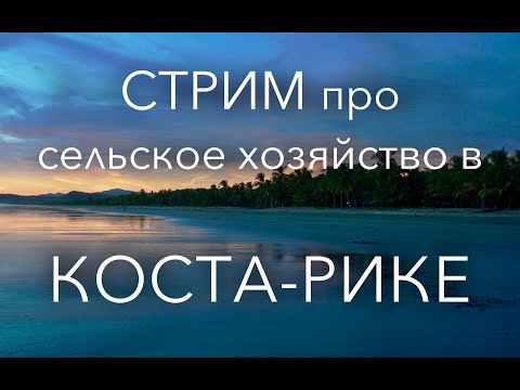 Видео: Стрим про сельское хозяйство в Коста-Рике