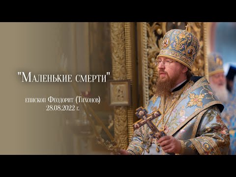 Видео: "Маленькие смерти"