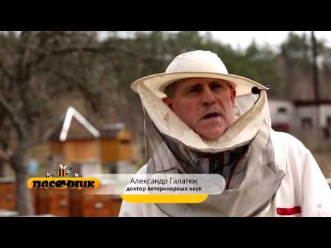 Видео: Пасечник №5 - Инструмент пасечника