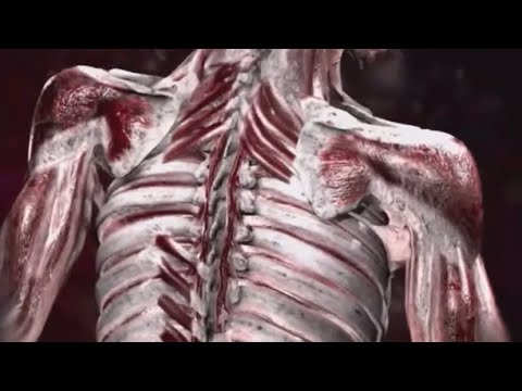 Видео: Блиц-опрос о травмах и основных моментах лиги 2