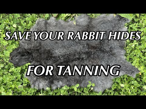 Видео: ИСПОЛЬЗОВАНИЕ КРОЛИЧЬЕГО МЕХА | Как чистить и хранить кроличьи шкуры для дубления