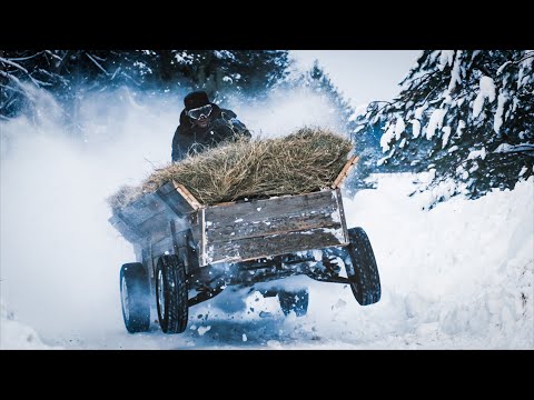 Видео: Russian Gymkhana | Дрифт на Хуторе #РусскаяДжимхана #RussianGymkhana #Джимхана