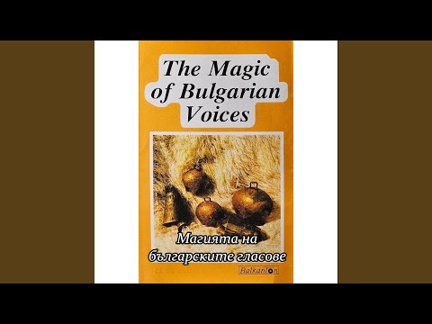 Видео: Лале ли си, зюмбюл ли си