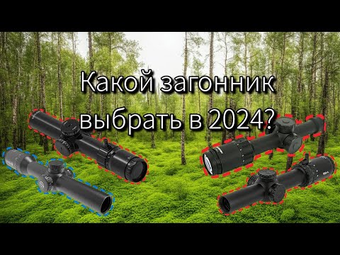 Видео: Какой прицел выбрать для загонной охоты и спорта в 2024г